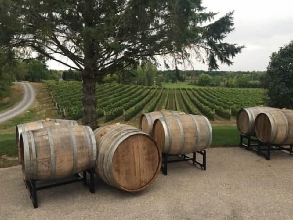 The winery next door