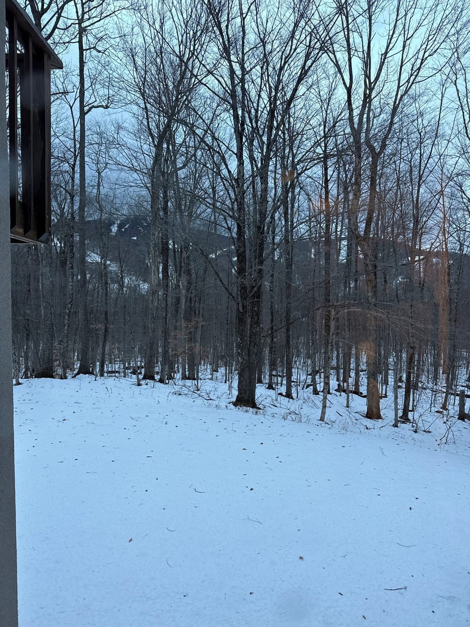 View from property