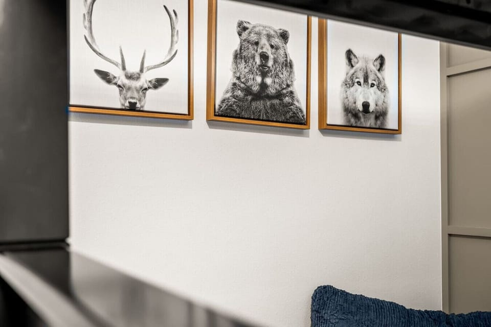 Queen over queen bunks with trundle and smart TV on lower level