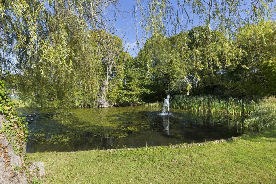 Pond