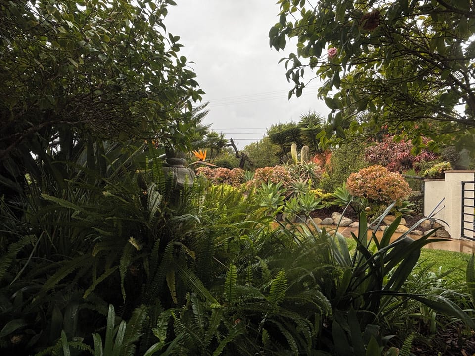 Garden views right outside the bathroom.