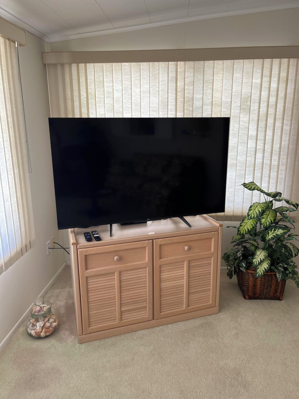Smart TV so you can log into your favorite streaming service or cast from device