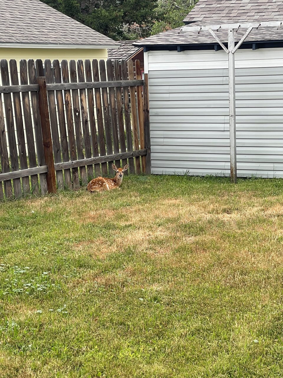 Property grounds