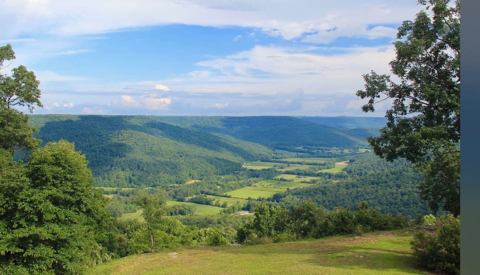 View at Paul's Point