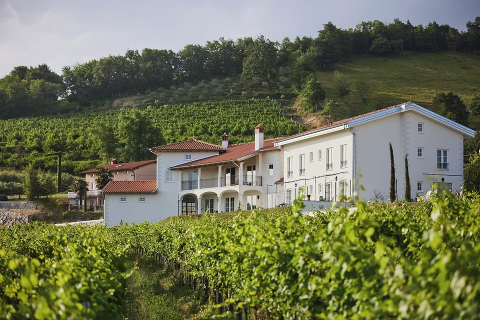 Hilltop Vineyard Villa