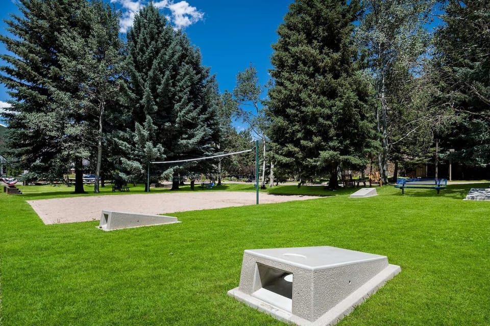 Gather friends for casual lawn volleyball under towering pines.