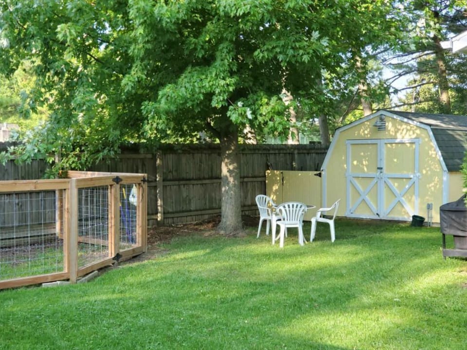 Back yard, fenced pet area