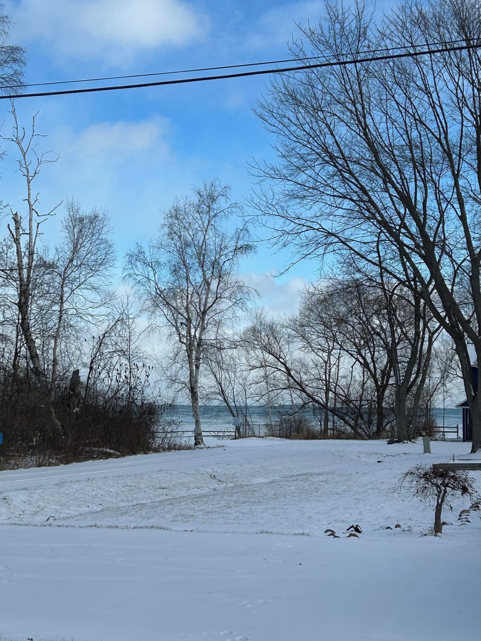 Winter view from cottage
