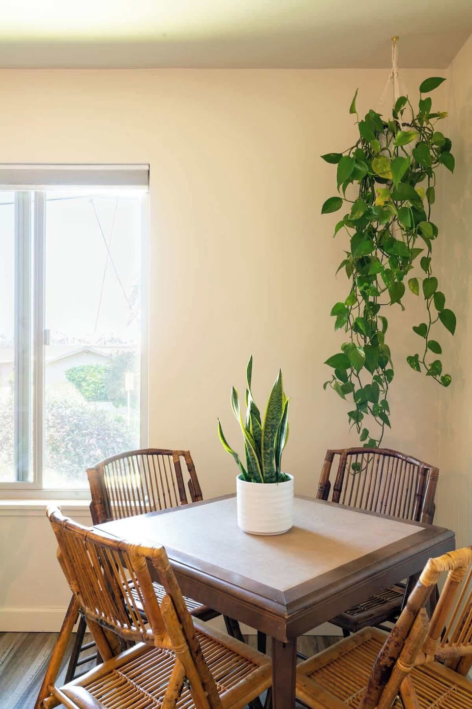 Enjoy your meals at this cute table