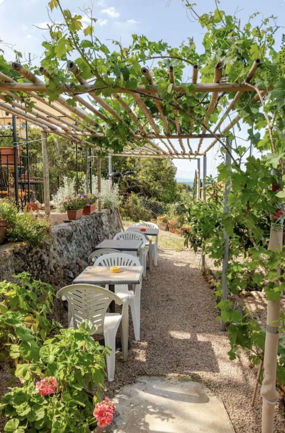 Shade, Garden, Agriculture, Plantation, Chair, Outdoor Furniture, Outdoor Structure, Outdoor Table