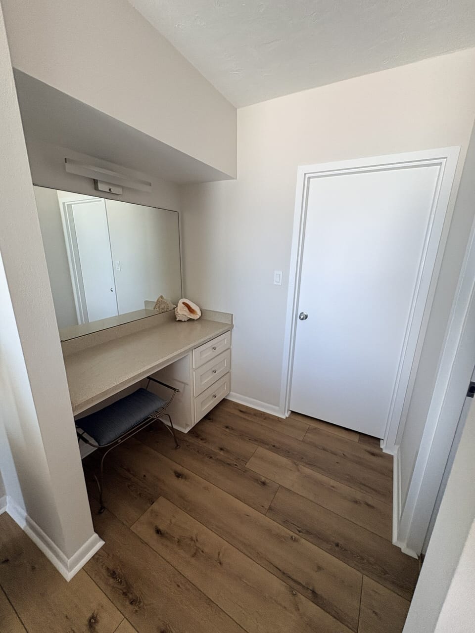 Master bathroom vanity & walk in closet