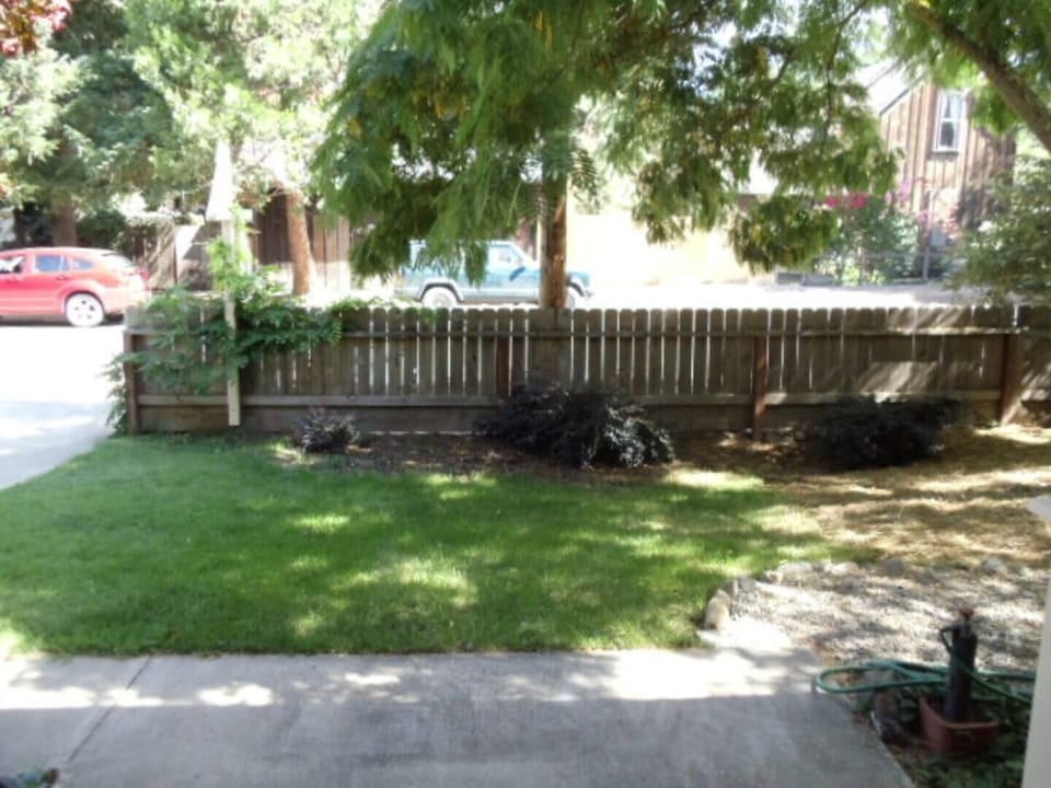 Front Yard From Porch