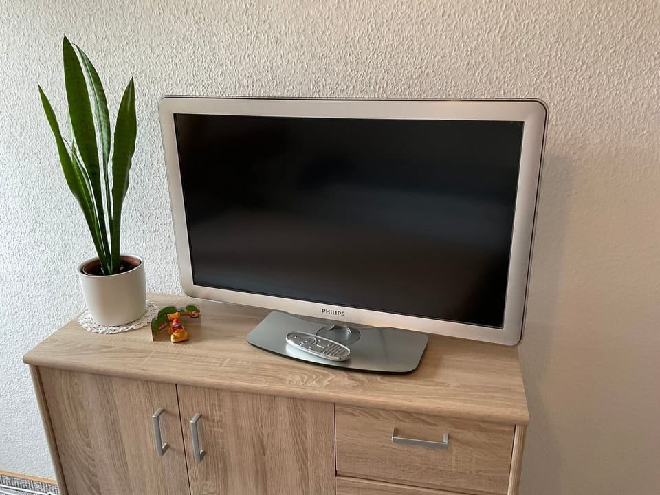Television