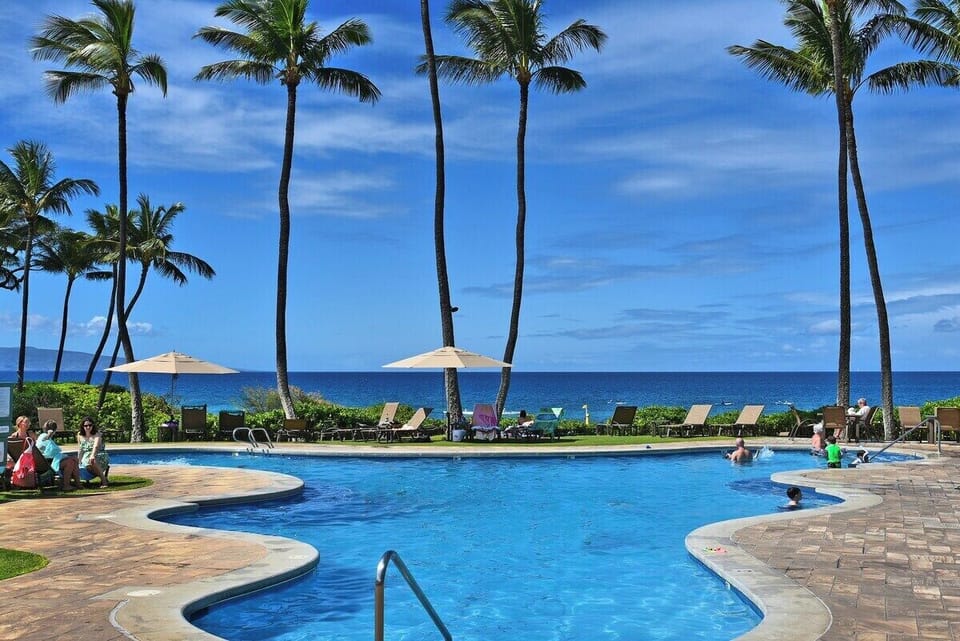 A serene oceanfront pool with panoramic blue‑water views and swaying palm trees along the shoreline.