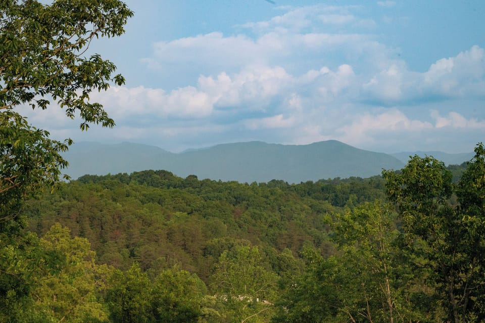 Wood-themed nature cabin, where you can relax while enjoying stunning mountain and forest views