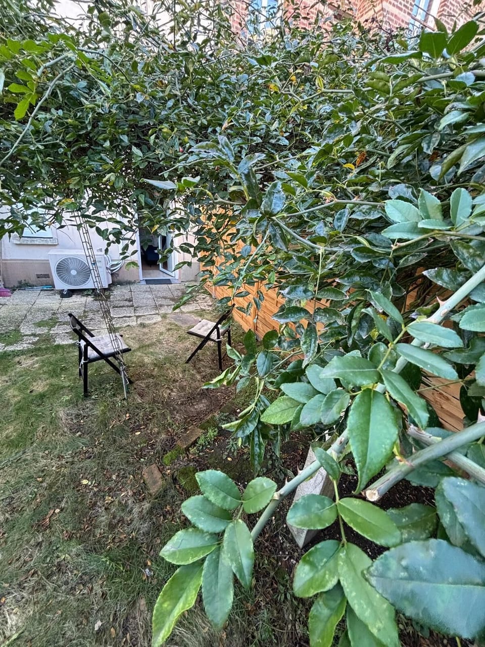 Property grounds
