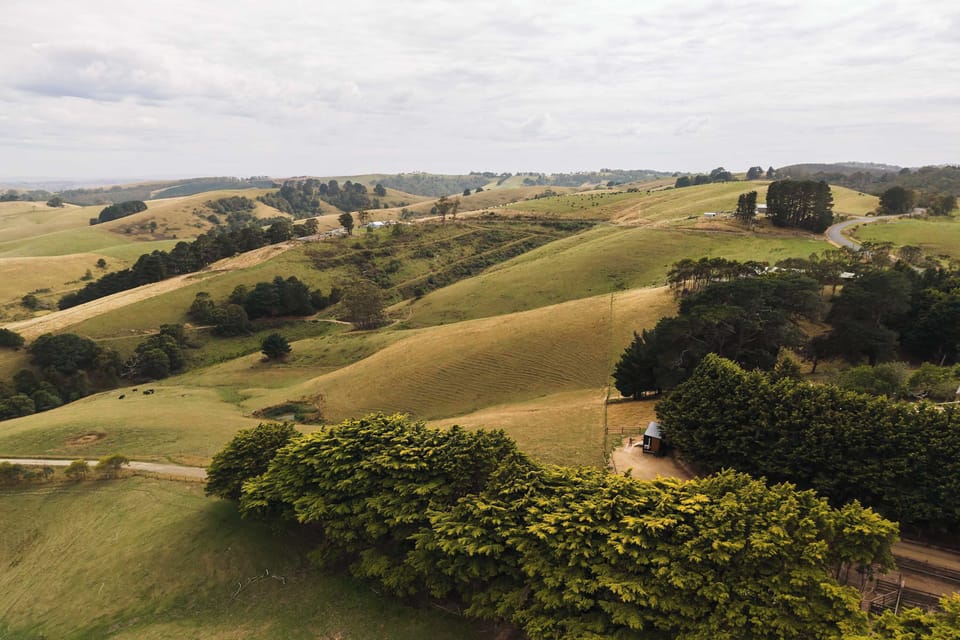 Miscellaneous