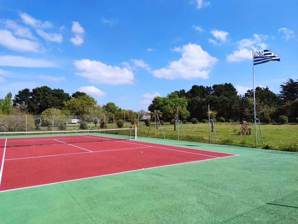 Sport court