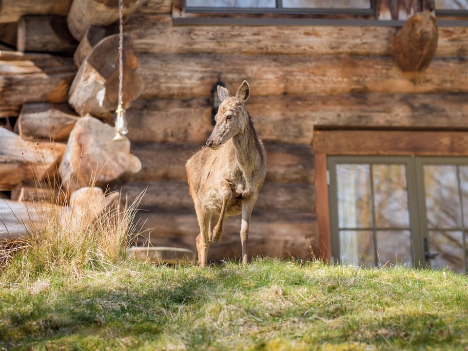 Outdoor | Sylvia - Eagle Brae, Beauly, near Drumnadrochit