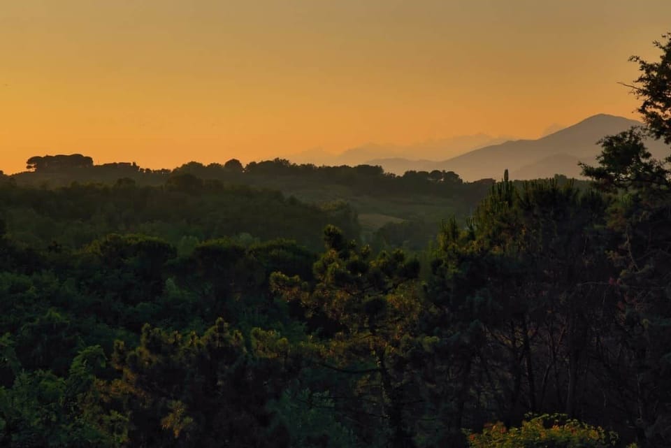 Stefania Pifferi - POLGARA - 1200_1280x854