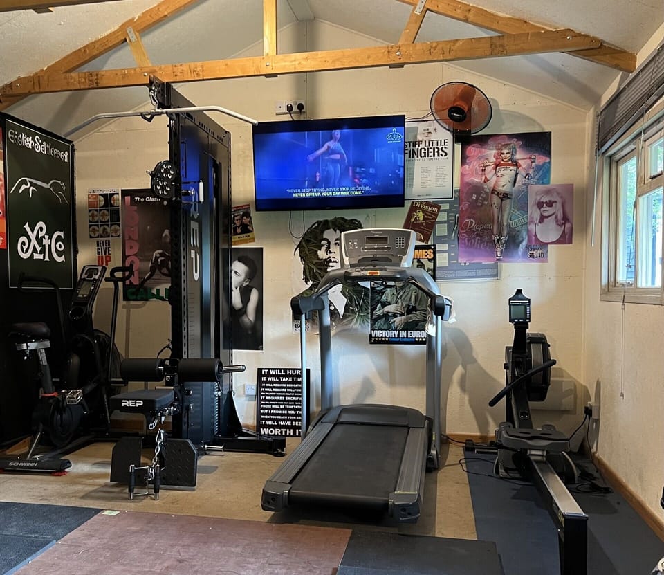 Concept2 rower, vision treamill, rep adonis cable machine, schwinn assault bike