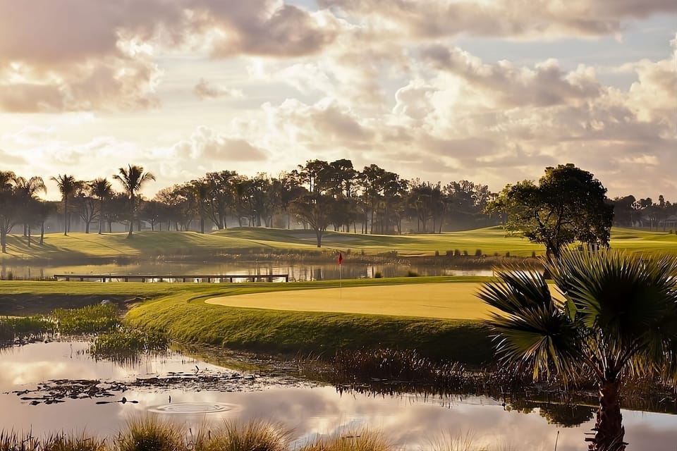 Breathe in morning calm beside water-lined greens and palms.