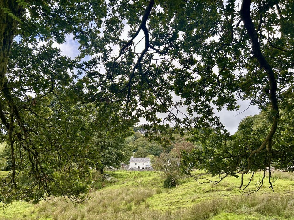 Scarr Head Cottage in the Lake District from a distance