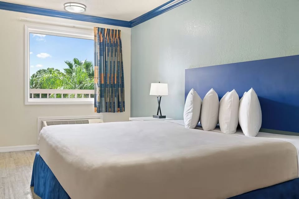 Start your morning with palm views from the bed.