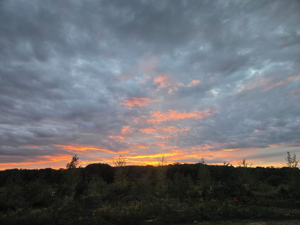 View from the House