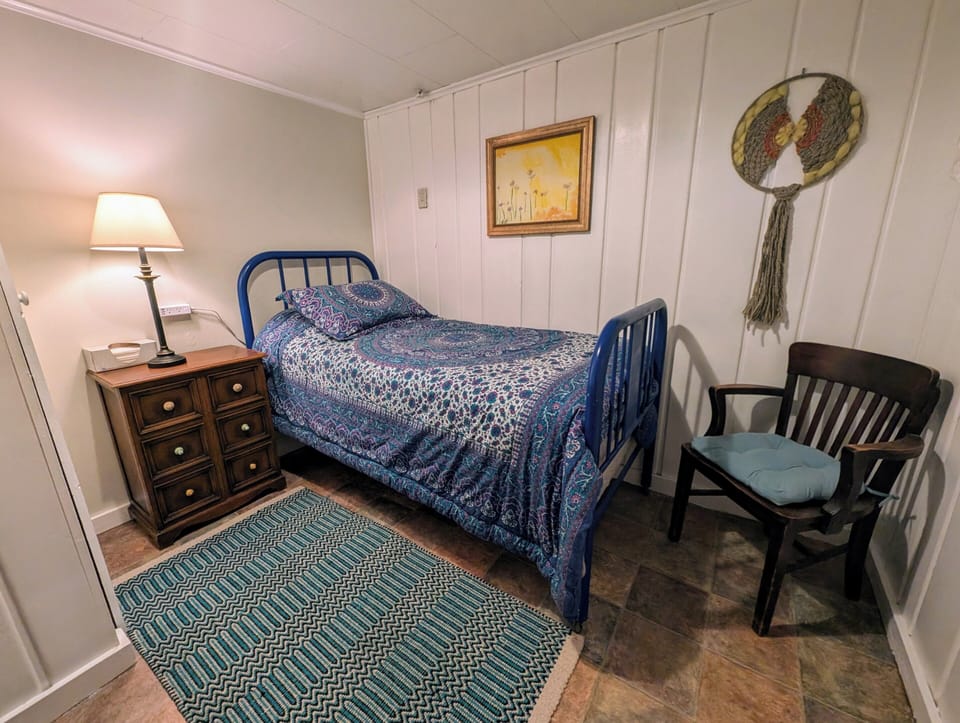 Basement Bedroom 2