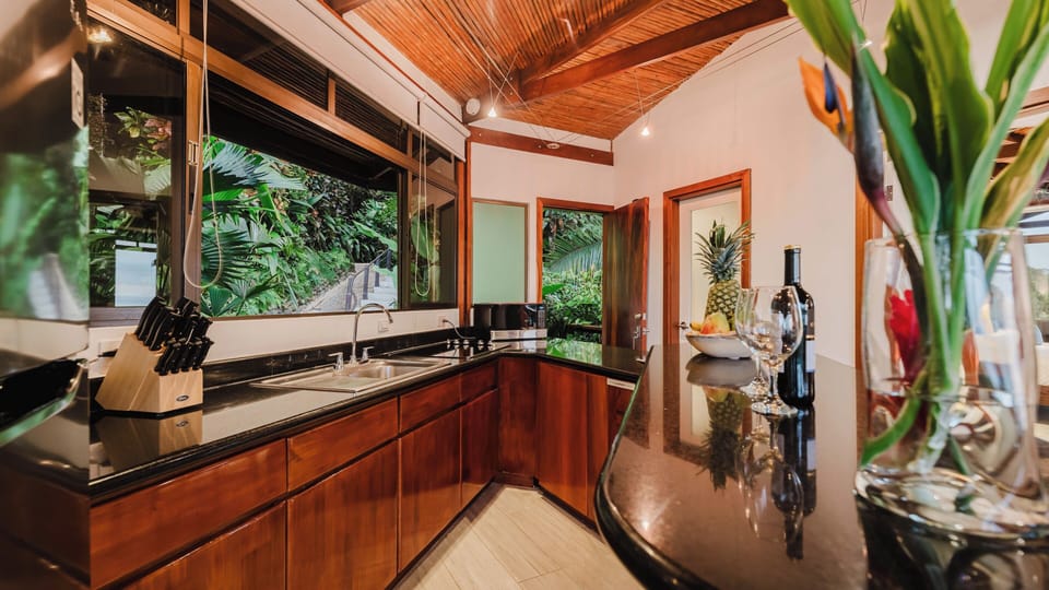 Kitchen with jungle view