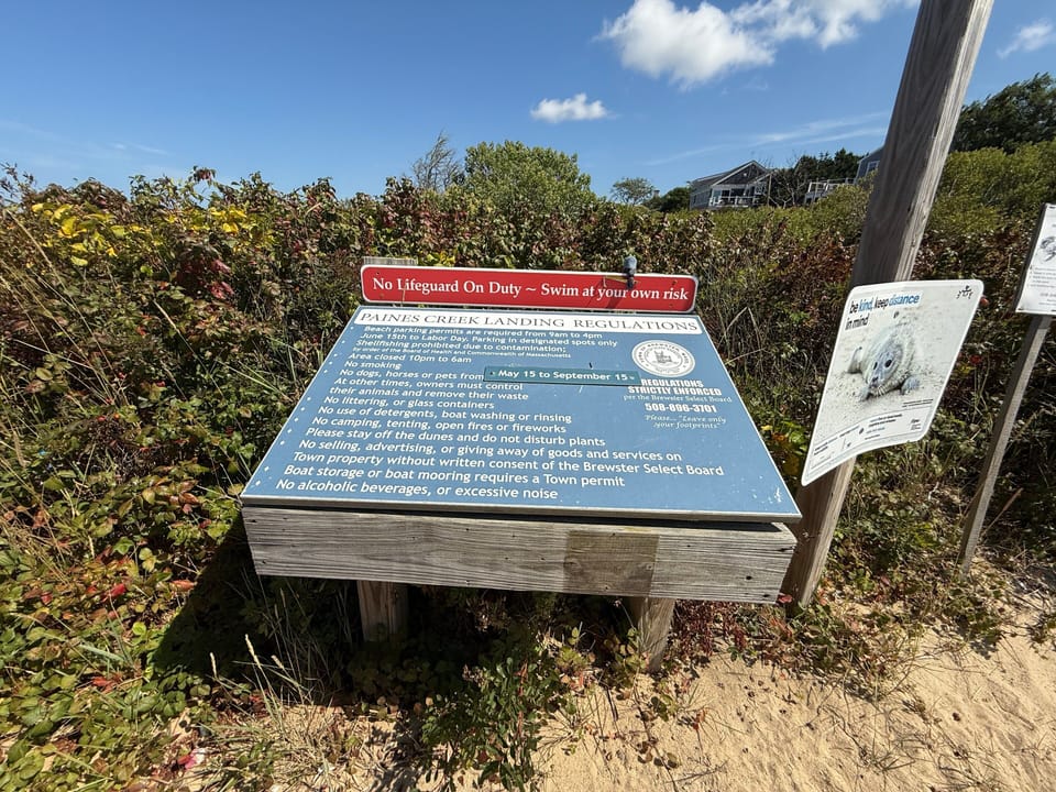Paine's Creek Beach
