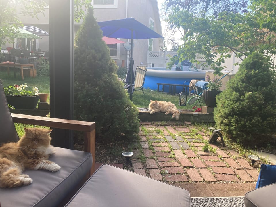 Terrace/patio