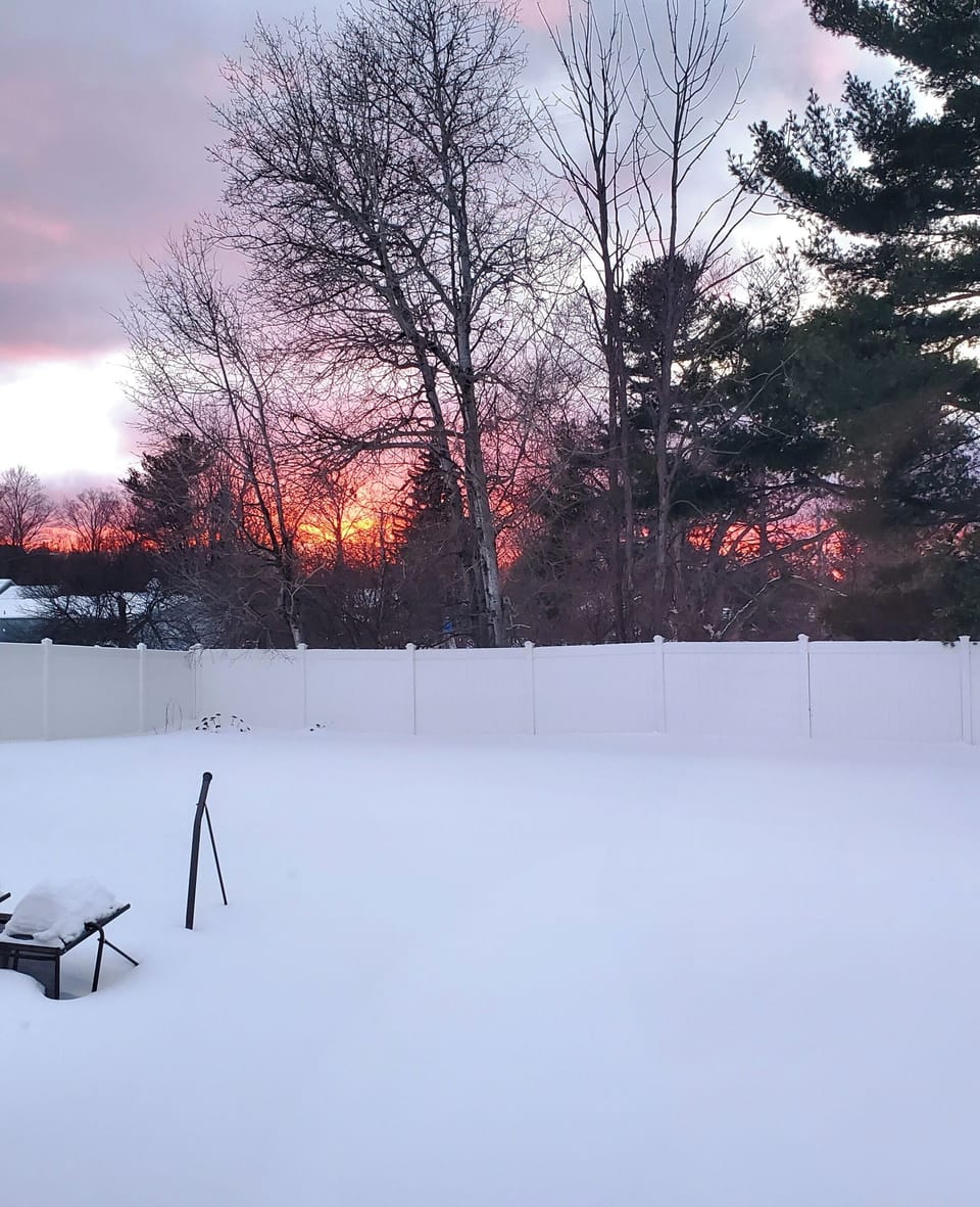 Beautiful sunsets over backyard fence