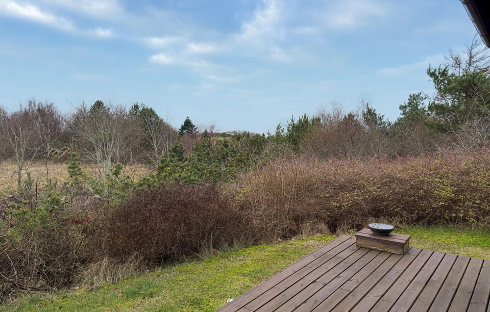 view-from-room