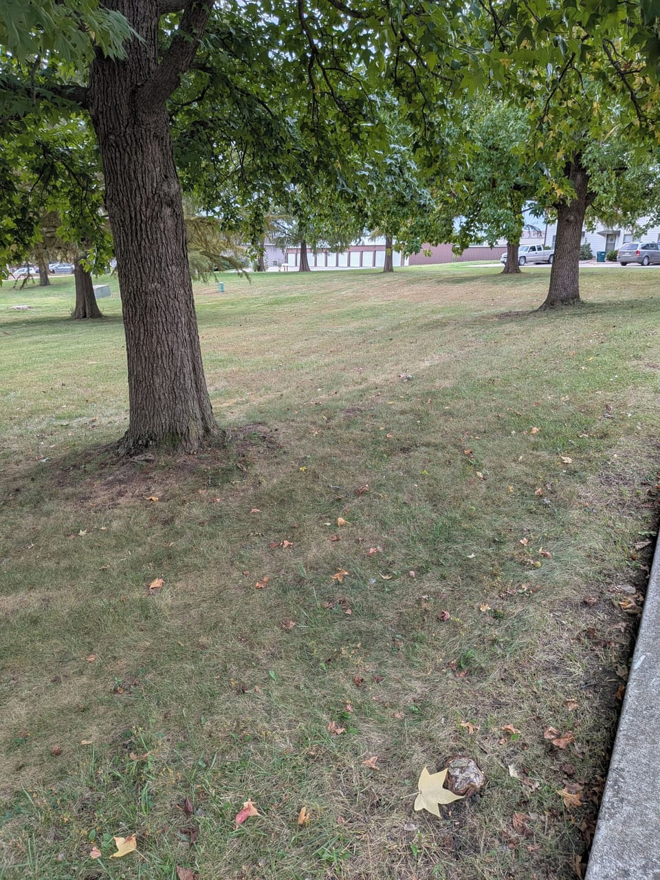 Property grounds