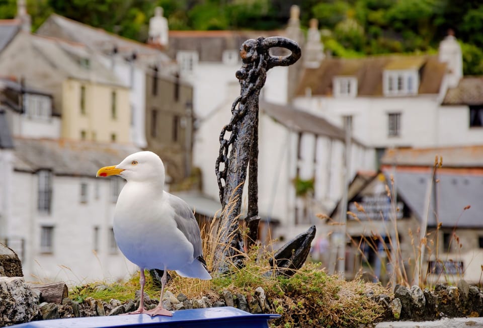 For lovers of Poldark, Polperro is just a drive away!