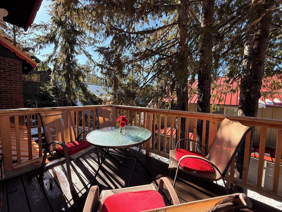 outdoor dining table sits 4