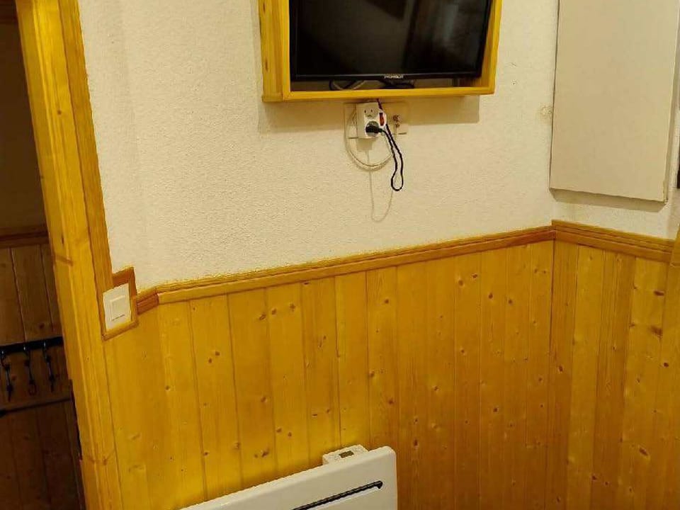 Television