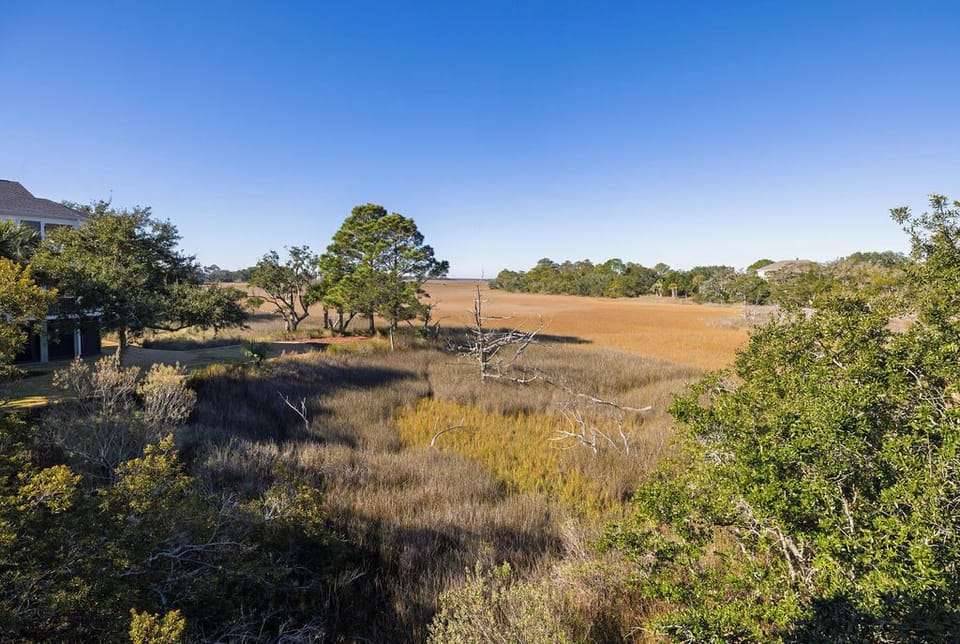 Expansive natural landscape with deer and plenty of water birds to keep you entertained in a serene setting.
