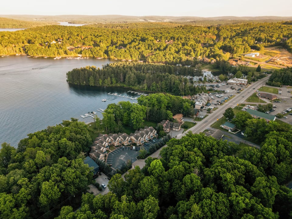 Bear on the Lake | Aerial View