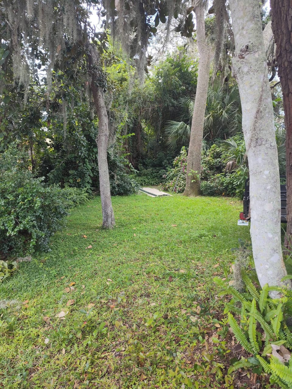 Back yard