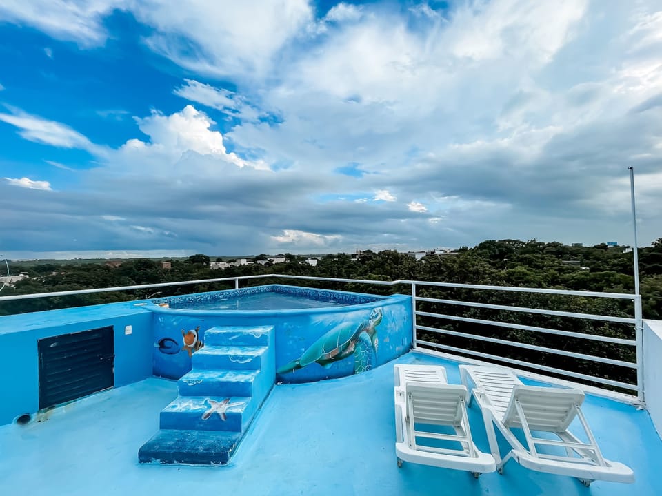 Rooftop plunge pool with views to the city 