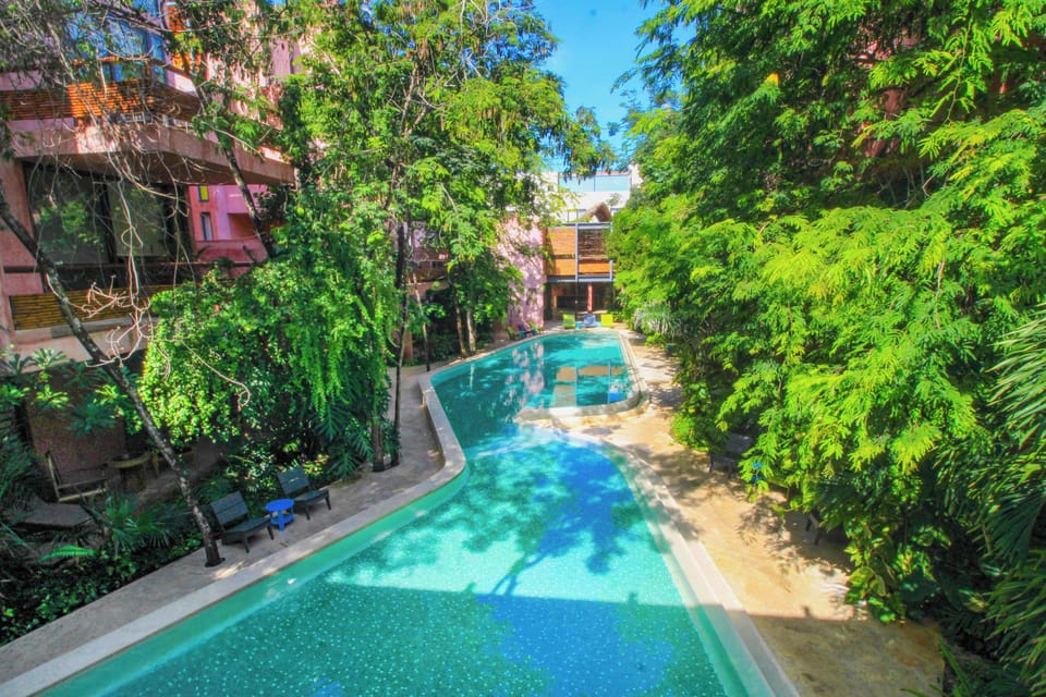 Outdoor pool with garden views 