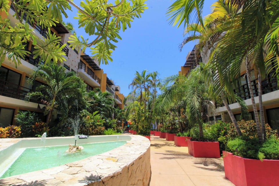 Garden view and pool 
