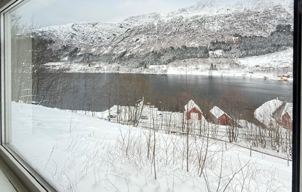 view-from-room