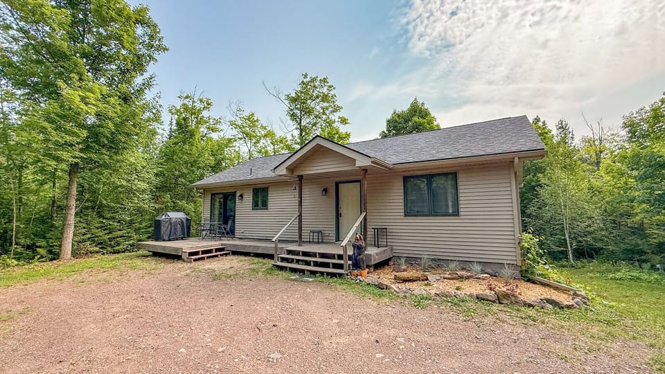 A peaceful woodland retreat surrounded by towering trees and fresh greenery, offering a quiet, secluded escape in nature.