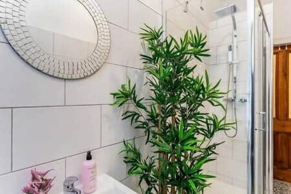 Plants