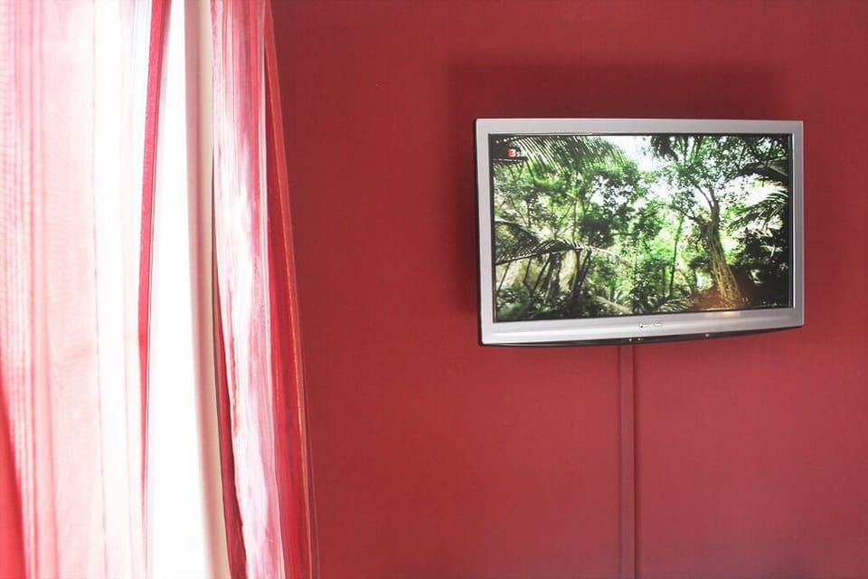 Television