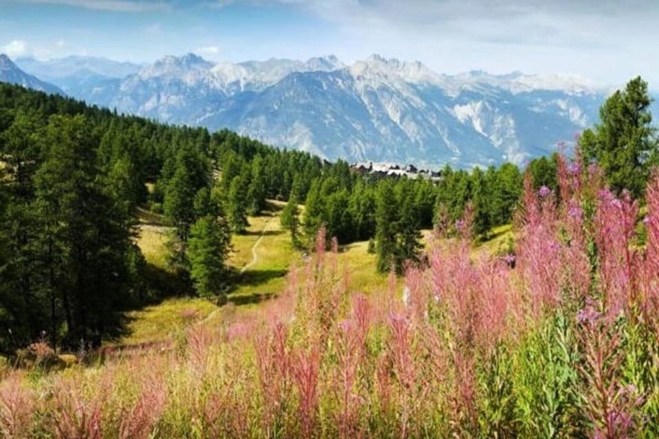 View from Holiday Home [summer]